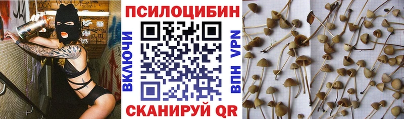 Галлюциногенные грибы прущие грибы  Ейск 