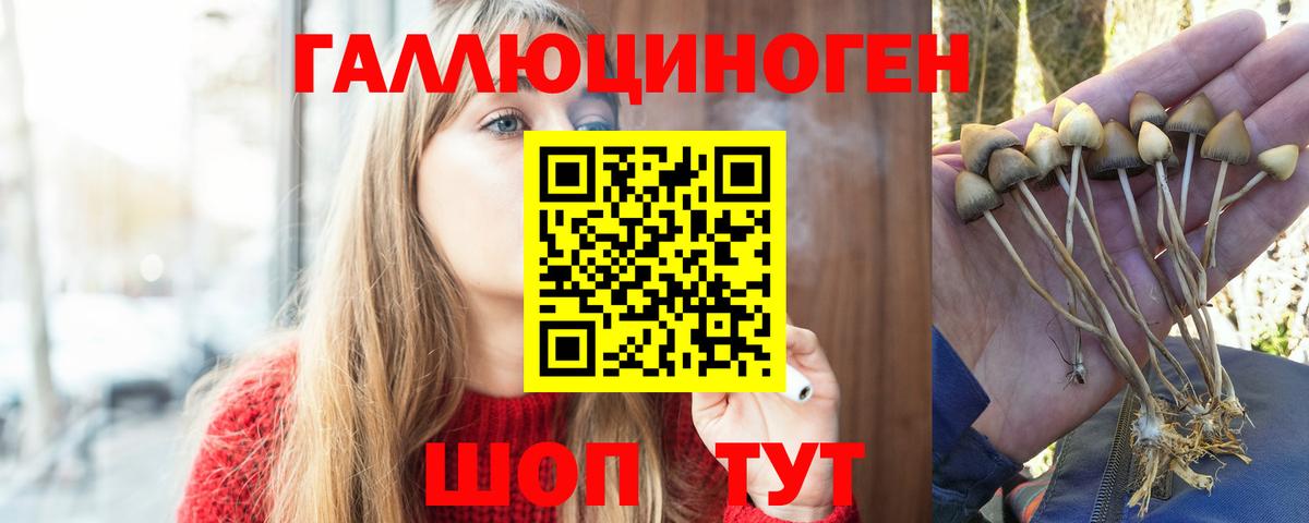 Галлюциногенные грибы Magic Shrooms  Вход с VPN  Ейск  Галлюциногенные грибы мухоморы 