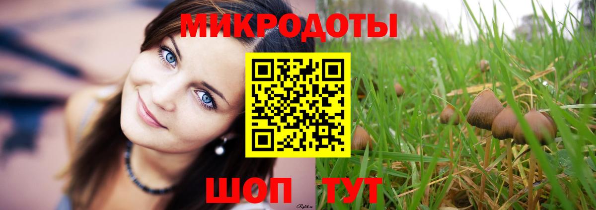 Галлюциногенные грибы GOLDEN TEACHER Ейск